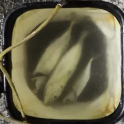 アジング練習 197