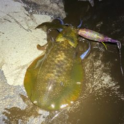 フラッシュブースト