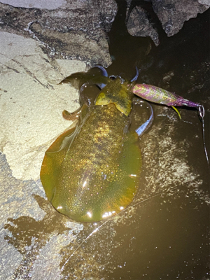 フラッシュブースト