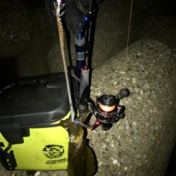 何とかアオリ1杯σ(^_^;)