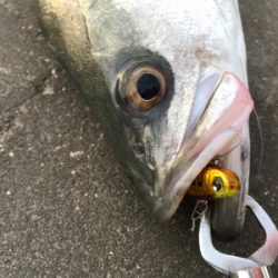 引き波パターン