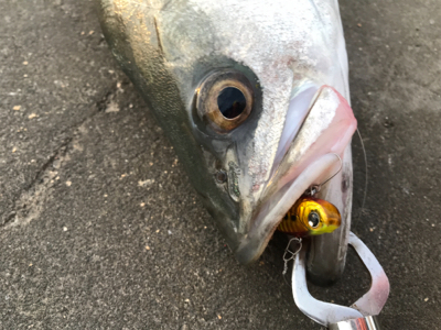 引き波パターン