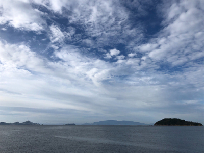 メジロとハマチ