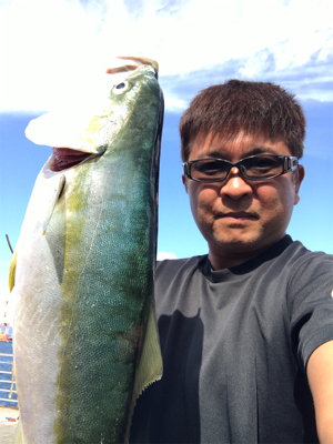 コスモスクエア釣果