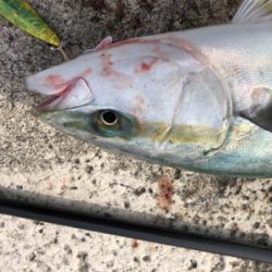 ヒットパターン