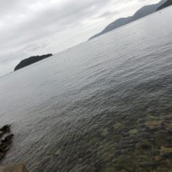 ハマチはおる！