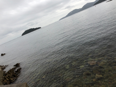 ハマチはおる！