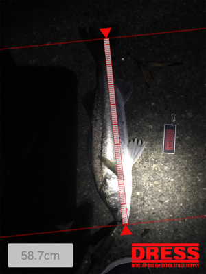 パラガス様々♪