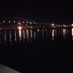 太刀魚狙いでサバと戯れ