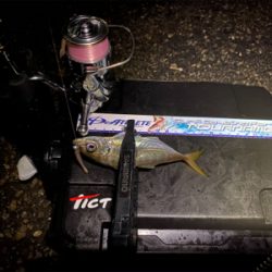 想像以上に寒いライトゲーム