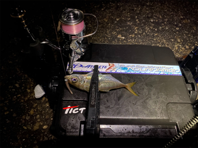 想像以上に寒いライトゲーム