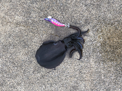 どしゃ降りの寒い日に