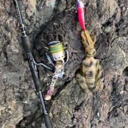 ホームポイントに魔物が