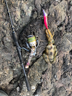 ホームポイントに魔物が