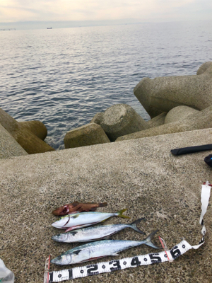 和田防本堤　渋いながらも