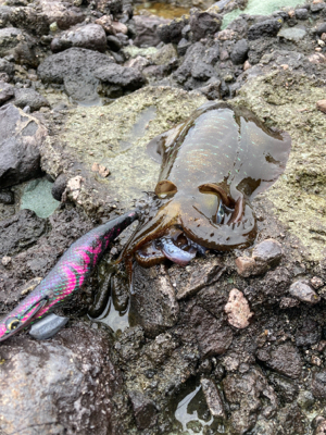 ピンクリボン軍