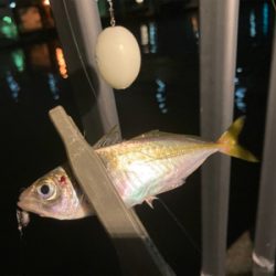 Fシステムアジング