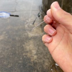 雨の中ショアジギ