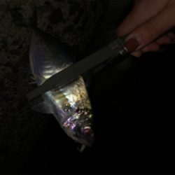 ちょっとだけ。