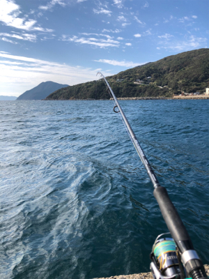 底物挑戦返り討ち