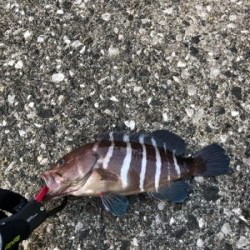 エソ祭りからの……