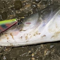 仕事帰りに同僚と！