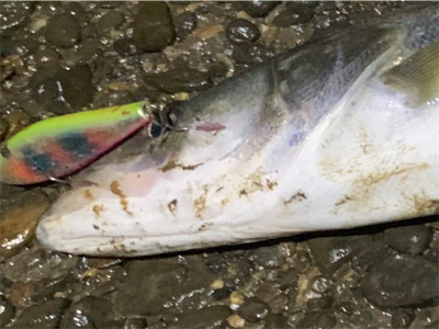 仕事帰りに同僚と！