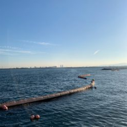 ライトショアジギング