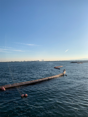 ライトショアジギング