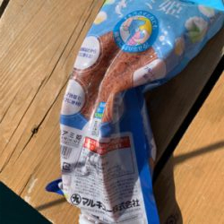 昼休みにサビキ釣り