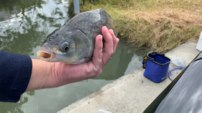 検証を兼ねての用水路での釣り