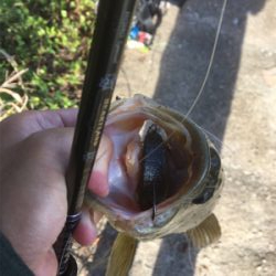 久々の布目ダム