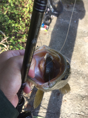 久々の布目ダム