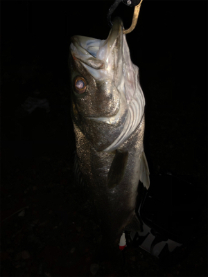 まあまあサイズ