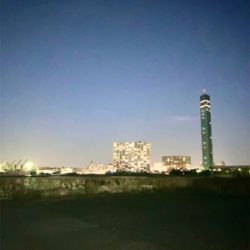 今年のアジング納め