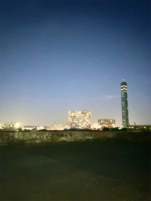 今年のアジング納め