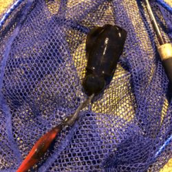 エギングランガン