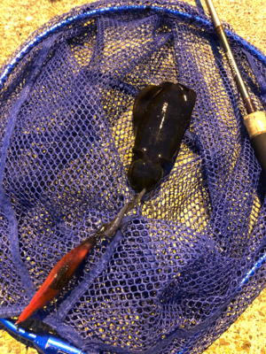 エギングランガン