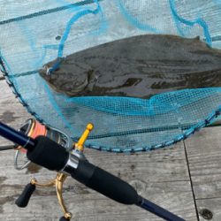 ダイソージグでヒラメ