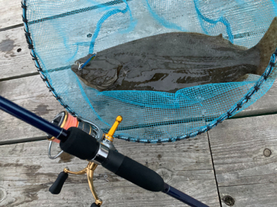 ダイソージグでヒラメ