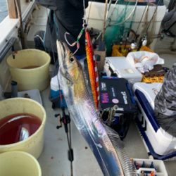 タチウオジギング