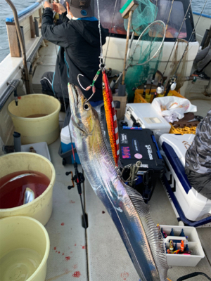 タチウオジギング