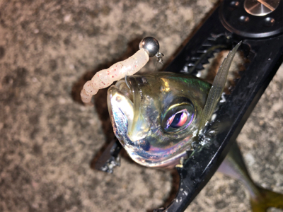 激ムズアジング