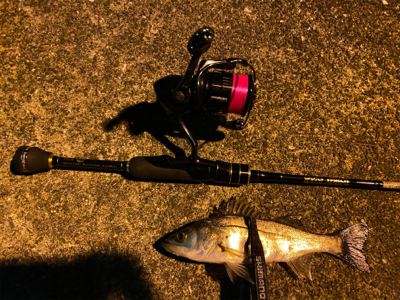 例年より魚の少ない大阪湾奥