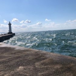 アナゴ　ウマヅラ