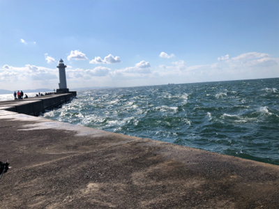 アナゴ　ウマヅラ