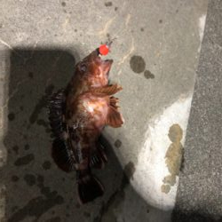 爆風の中なんとか四目達成