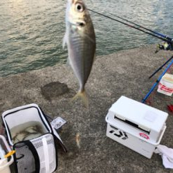 風が強くてつらい