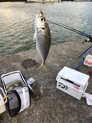 風が強くてつらい