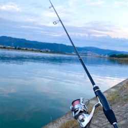 久しぶりのハゼ釣り